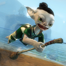 New Riding Broom New Riding Broom