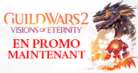 Jusqu'à -30 % sur Visions of Eternity !